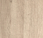 Trends Sonoma Oak